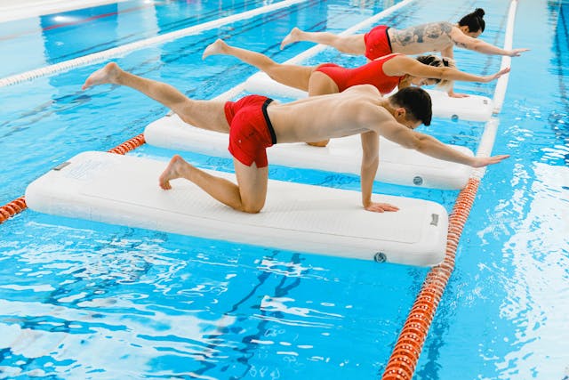 Zenmalvora transformacja